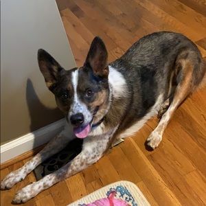 Meet your Posher, Jared